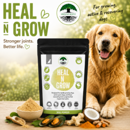 Heal N Grow