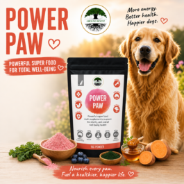 Power Paw