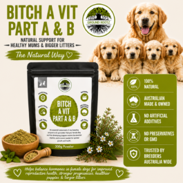 Bitch-A-Vit