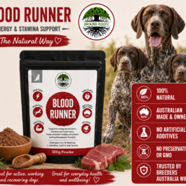 Blood Runner