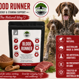 Blood Runner