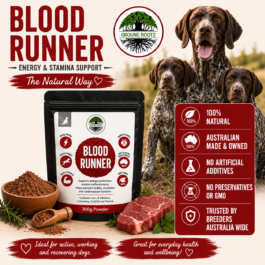 Blood Runner