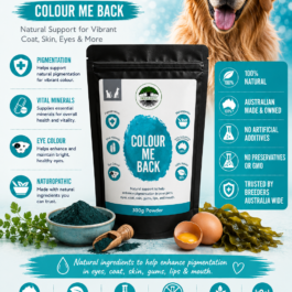 Colour Me Back