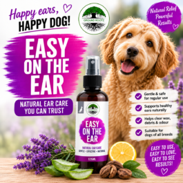 Easy On The Ear