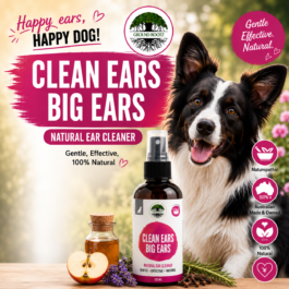 Clean Ears Big Ears