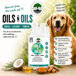 Oils N Oils