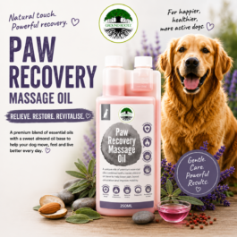 Paw Recovery Massage Oil
