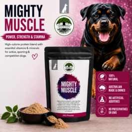 Mighty Muscle