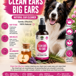 Clean Ears Big Ears