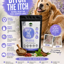 Ditch The Itch