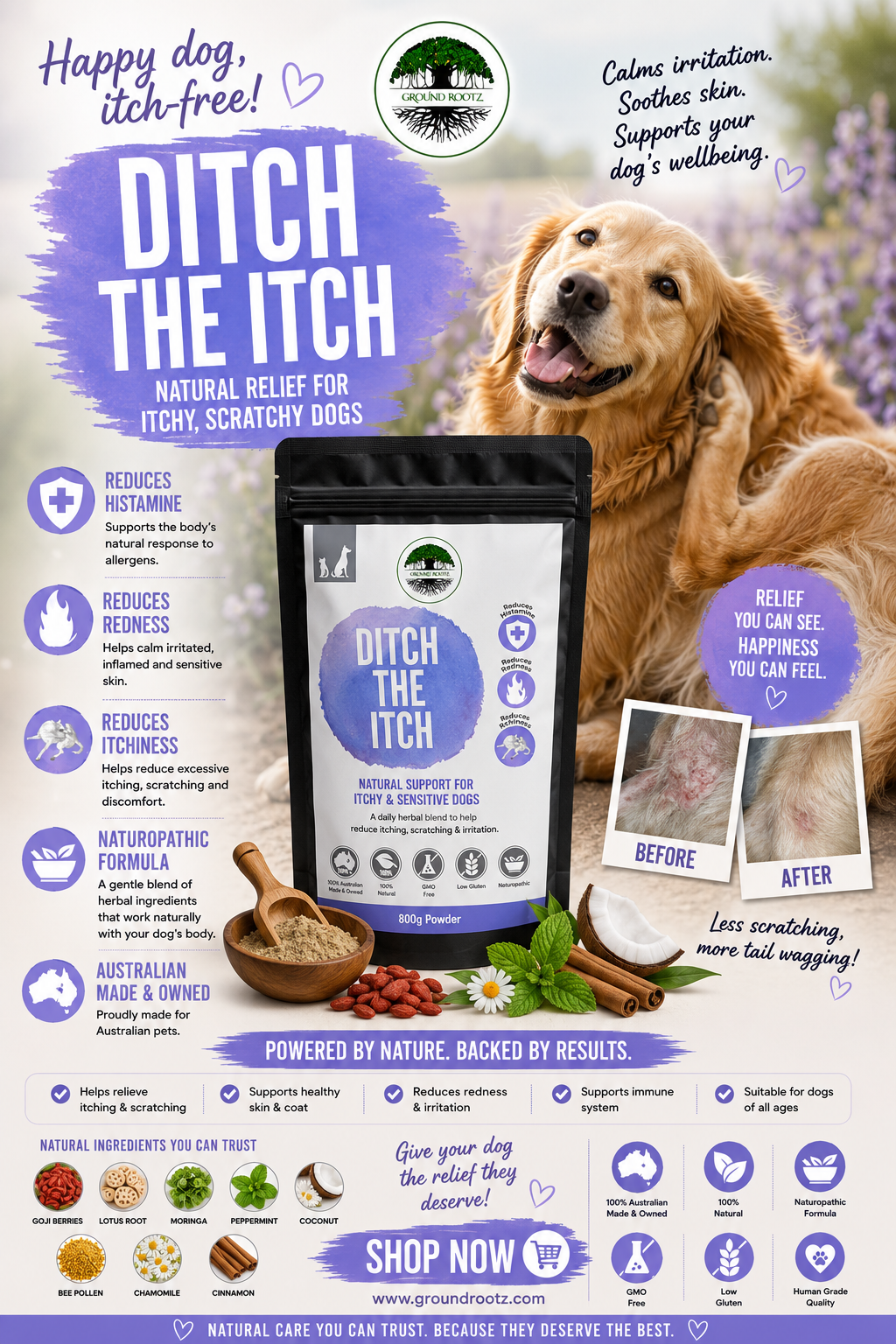 Ditch The Itch - Image 2