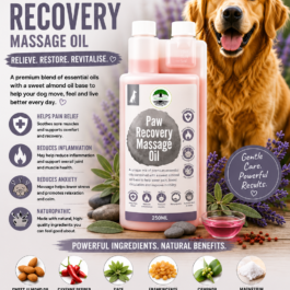 Paw Recovery Massage Oil
