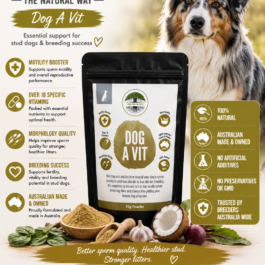 Dog A Vit