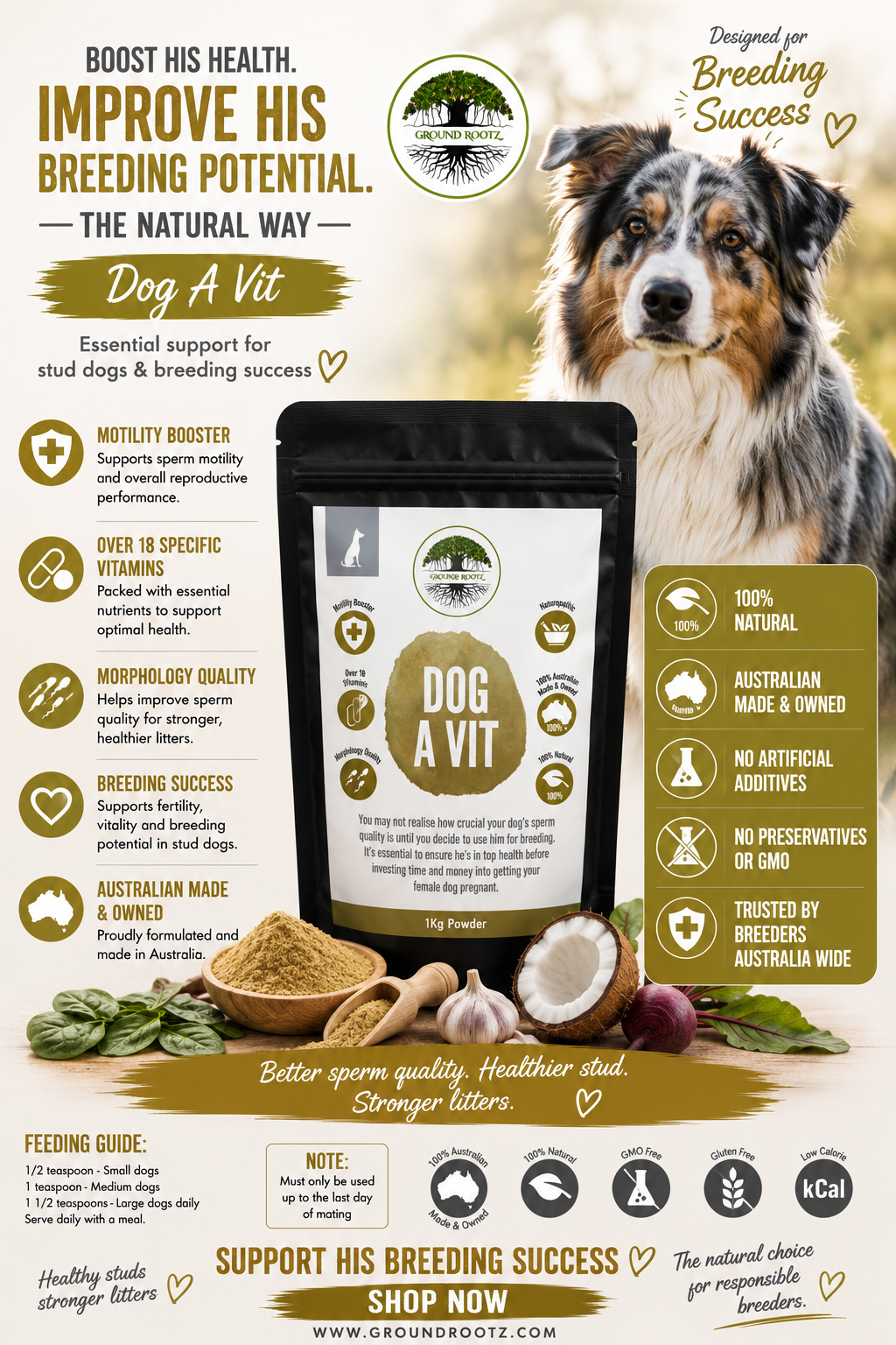 Dog A Vit - Image 2