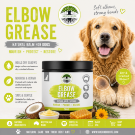 Elbow Grease