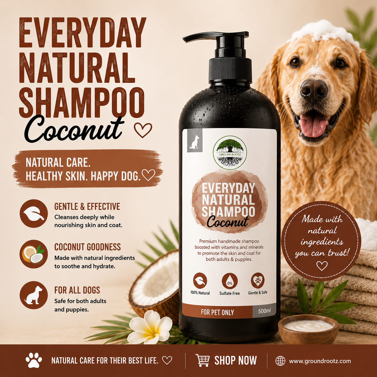 Everyday Shampoo